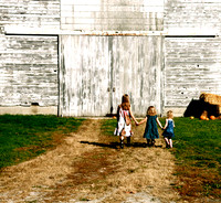 Wyant fall 2010