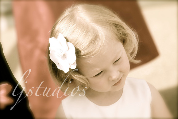 IMG_0343 copy