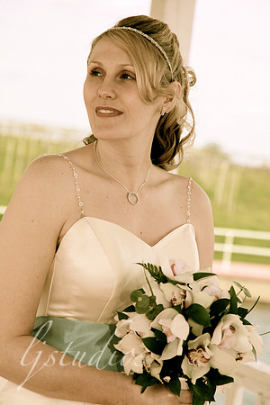 IMG_0956 copy
